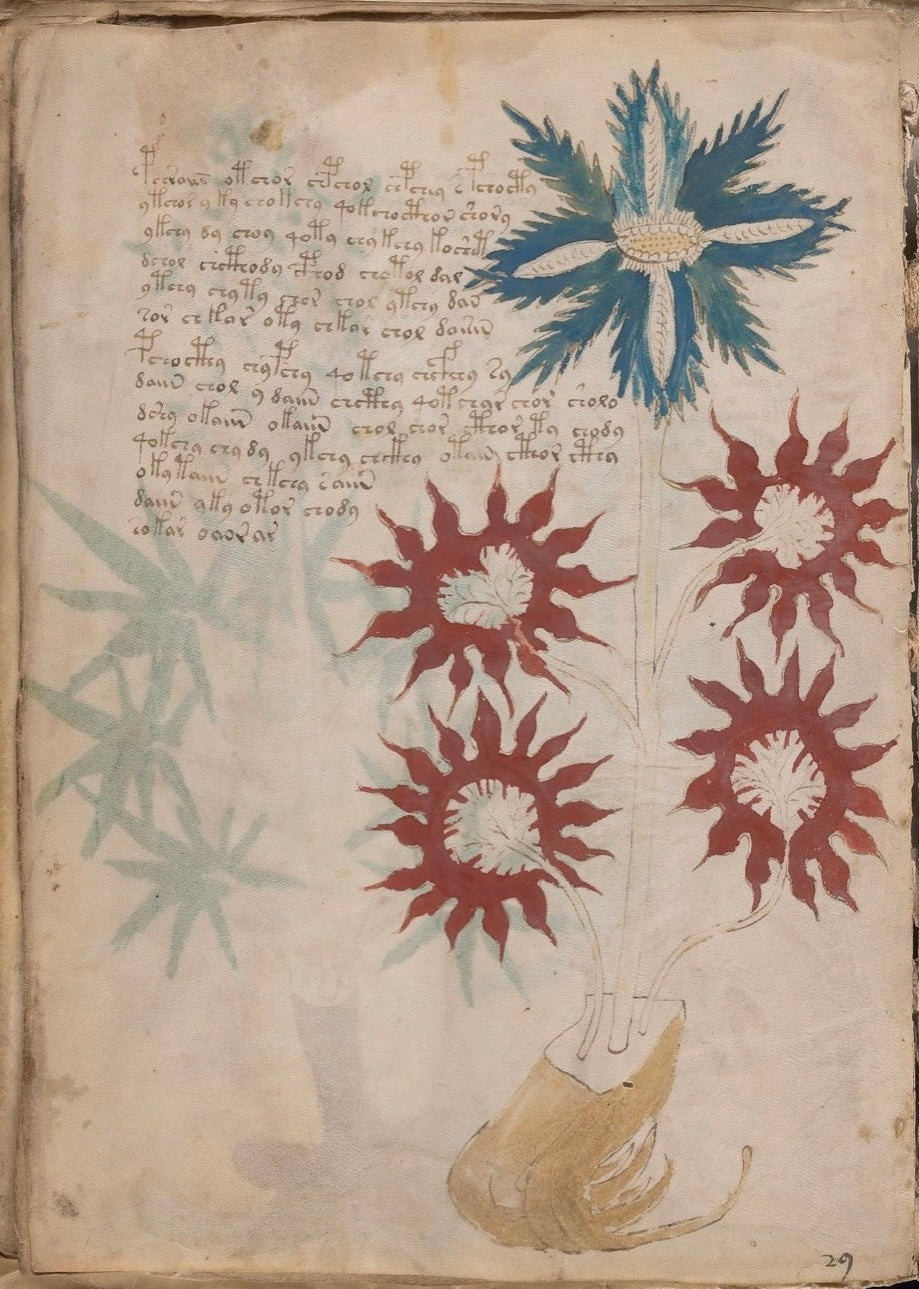 Medieval Botanical Blue & Red Print Scarf